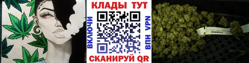 Магазины продажи наркотиков Николаевск Конопля COCAIN ГАШ