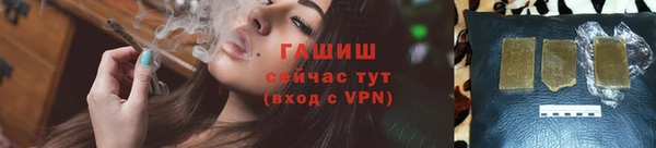 стаф Алзамай