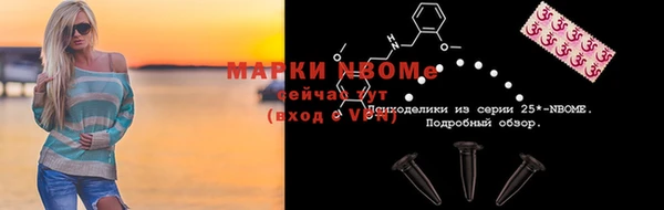 стаф Алзамай