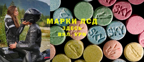 стаф Алзамай