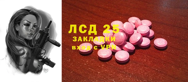 стаф Алзамай