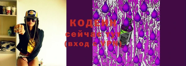 шишки Краснослободск