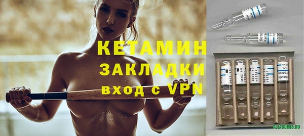 стаф Алзамай