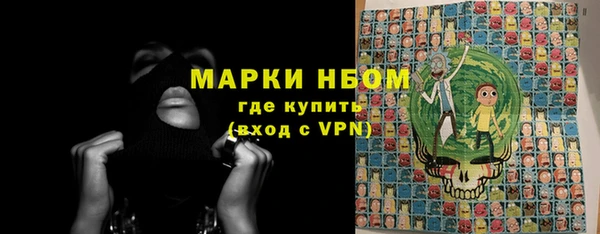 стаф Алзамай